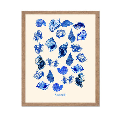 Blue Seashell Collection