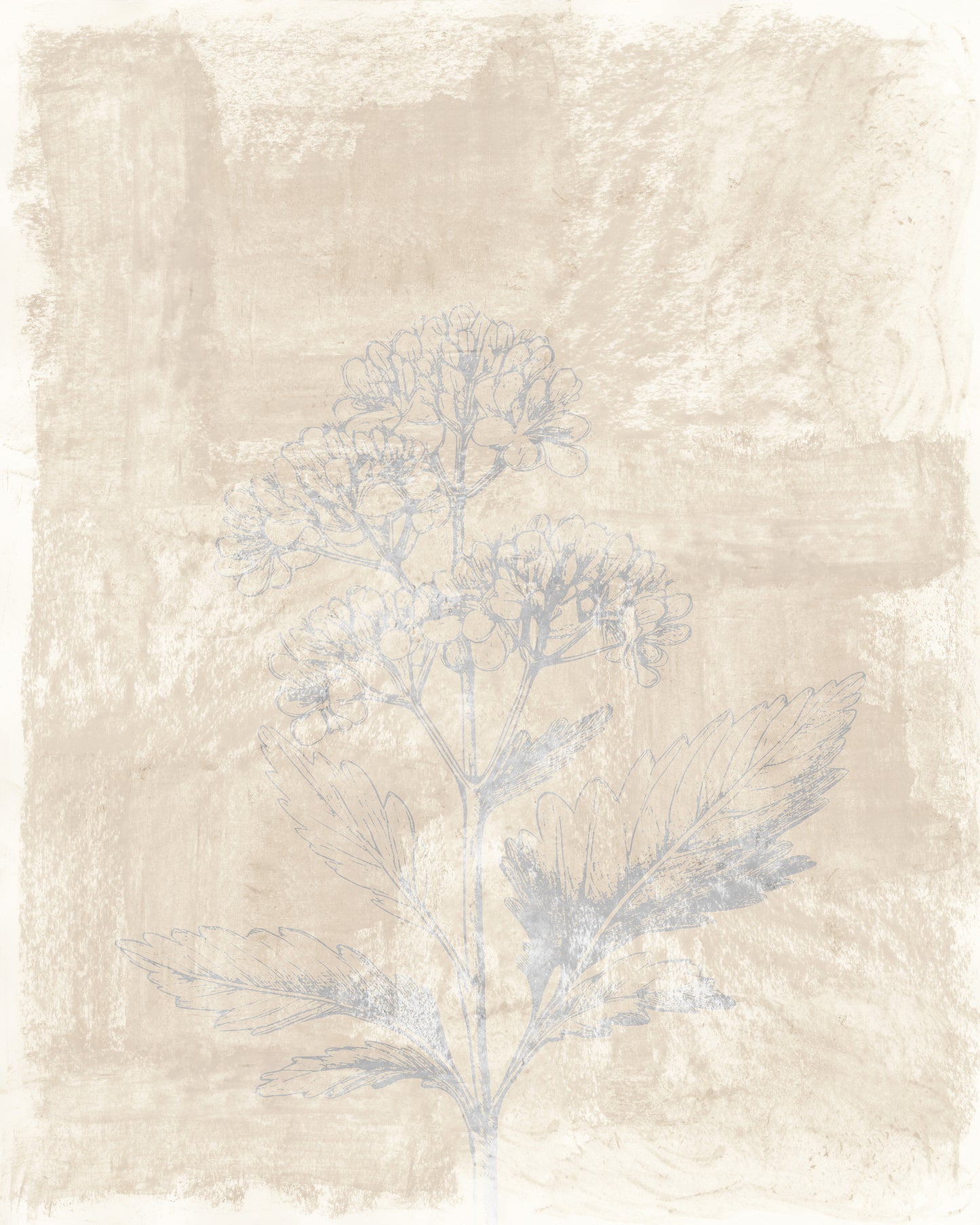 Vintage Botanical Sketch