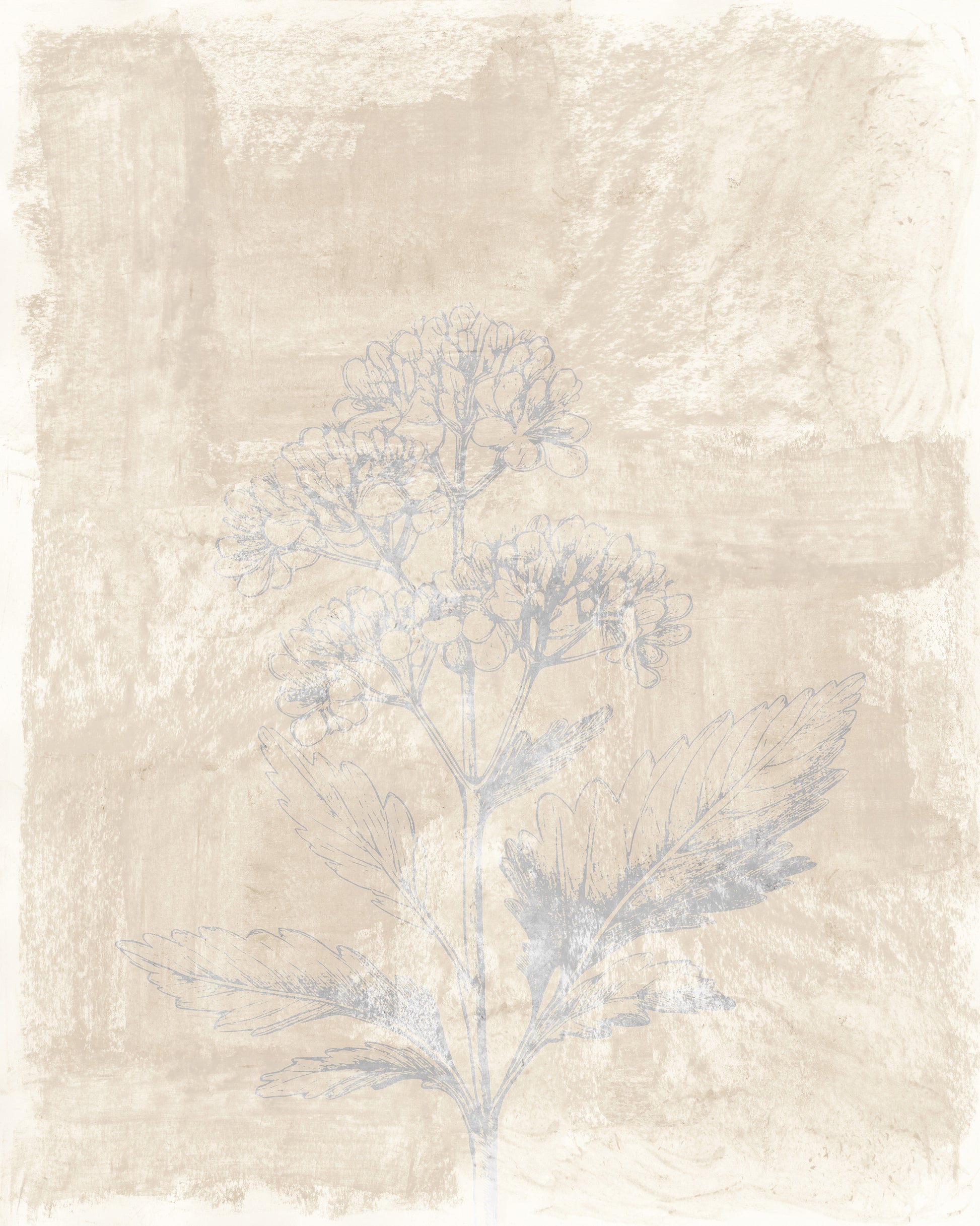 Vintage Botanical Sketch