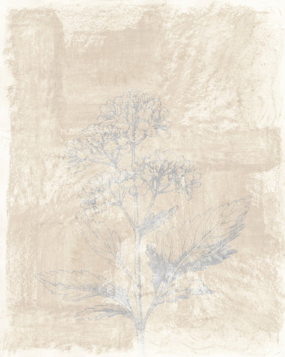 Vintage Botanical Sketch