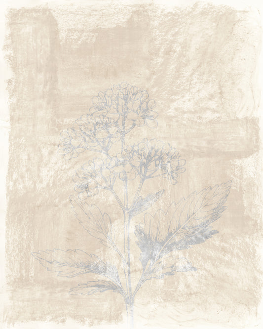 Vintage Botanical Sketch