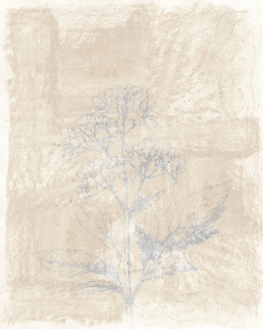Vintage Botanical Sketch