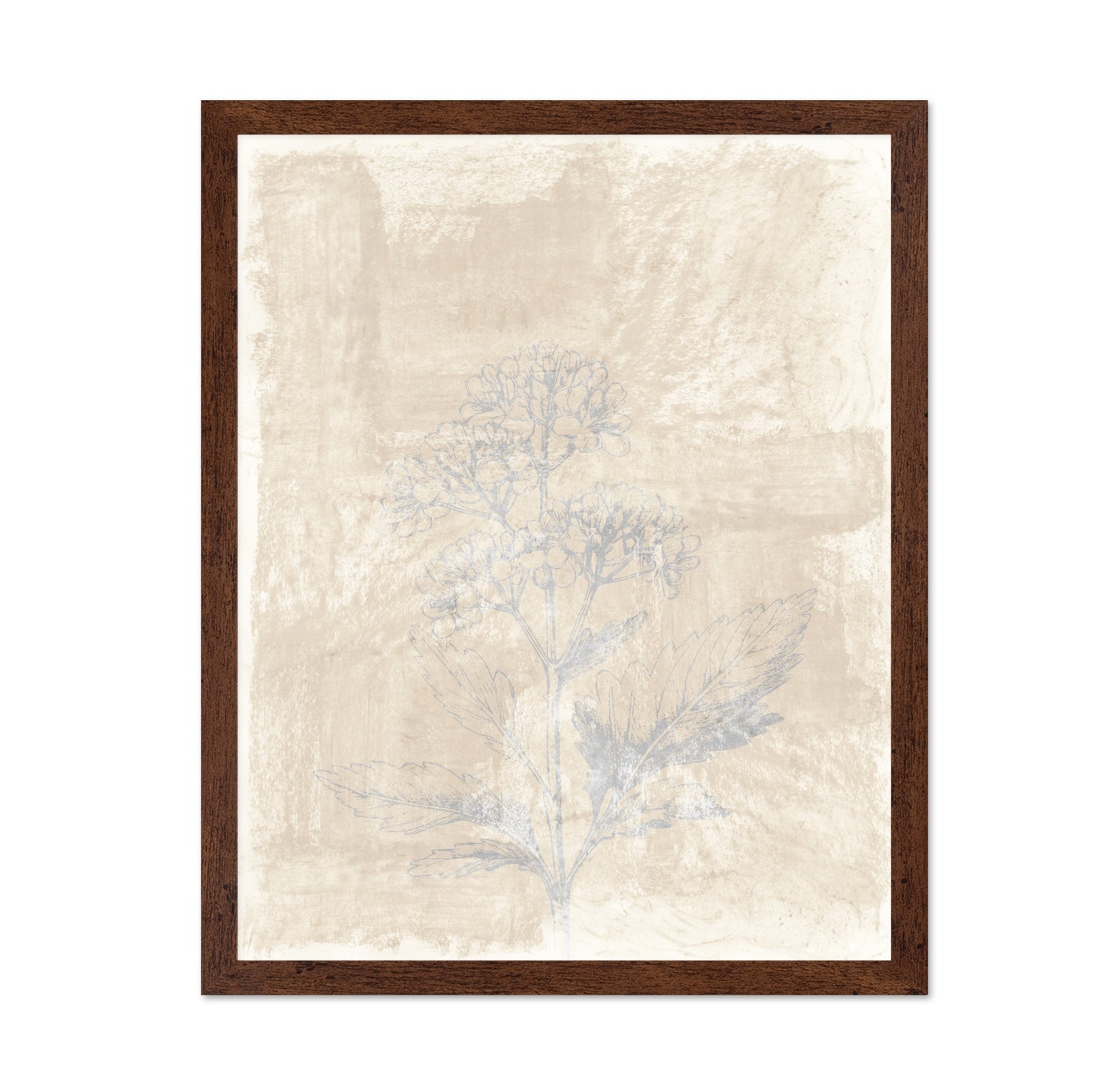 Vintage Botanical Sketch