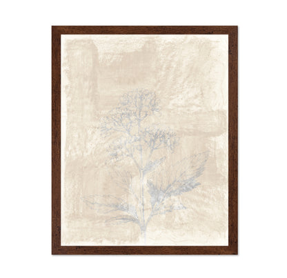 Vintage Botanical Sketch