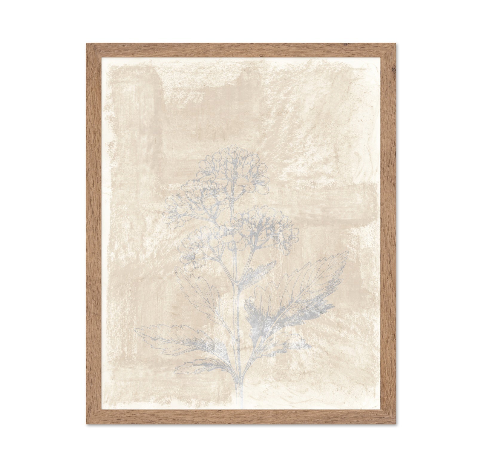 Vintage Botanical Sketch