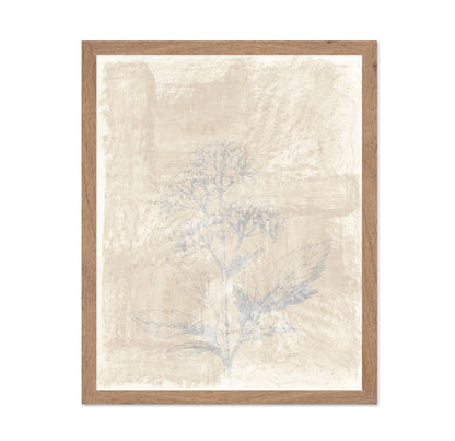 Vintage Botanical Sketch