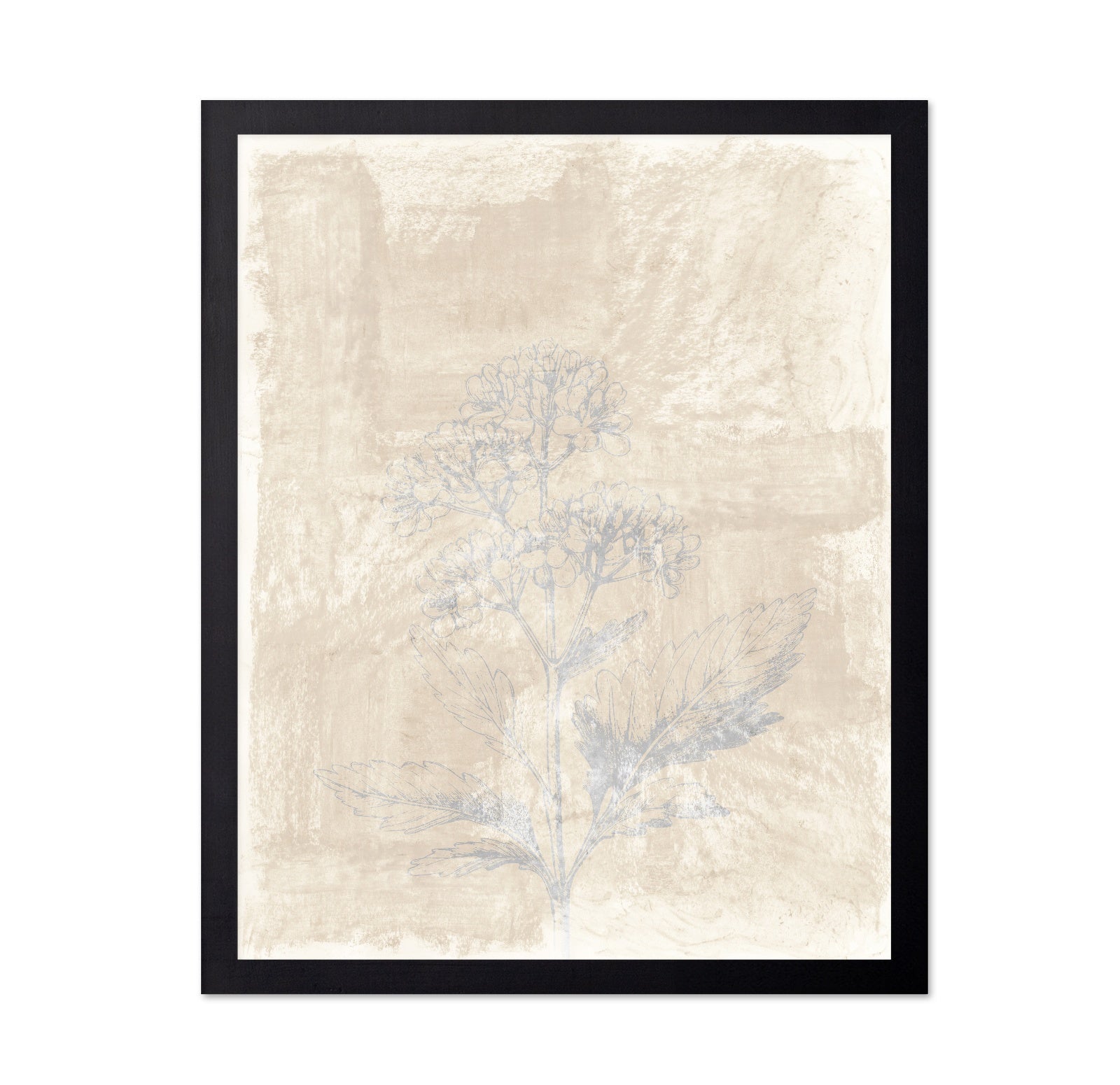 Vintage Botanical Sketch