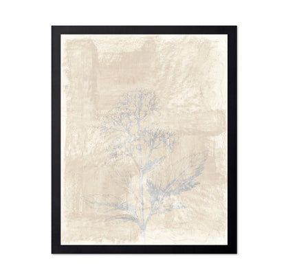 Vintage Botanical Sketch