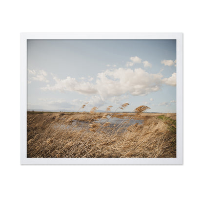 Windy Marsh Grassland