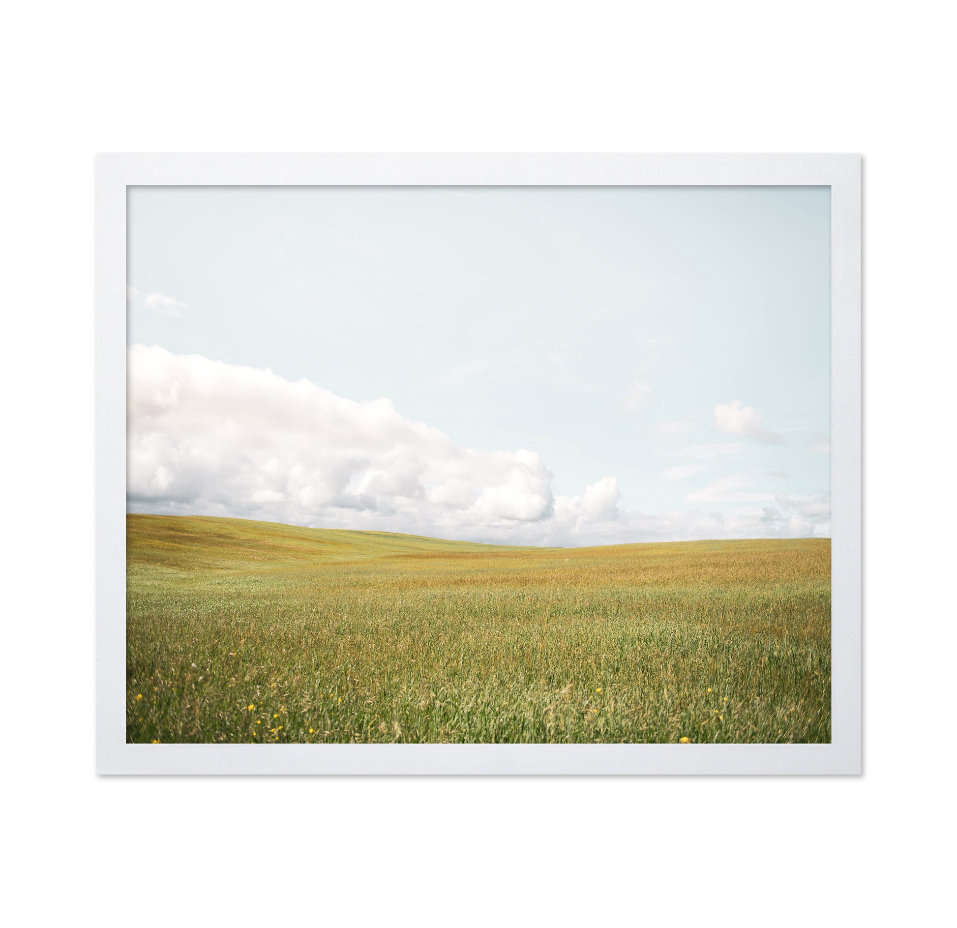 Open Meadow Horizon
