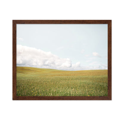 Open Meadow Horizon