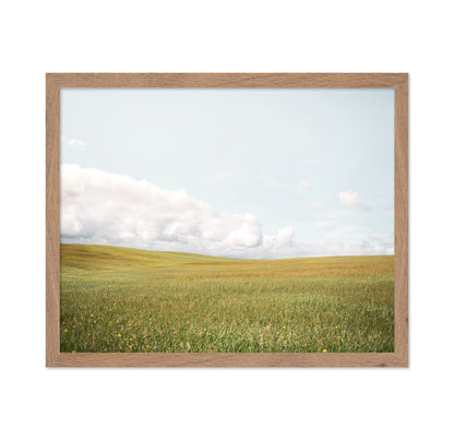 Open Meadow Horizon