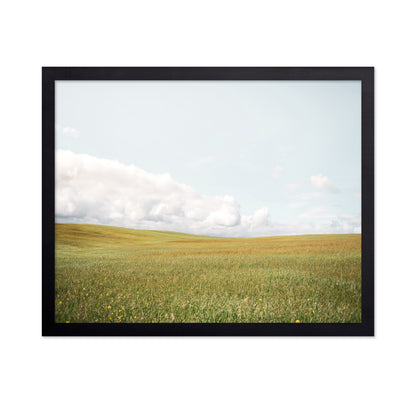 Open Meadow Horizon
