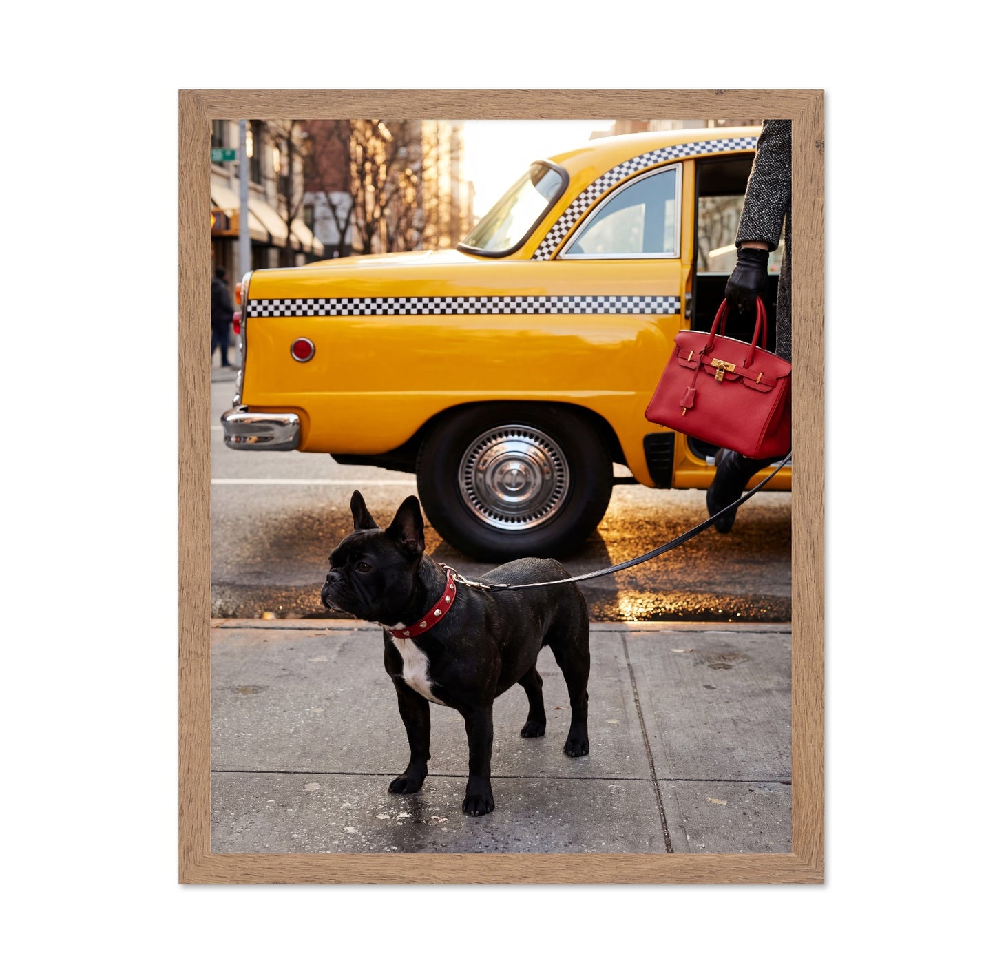 City Taxi Dog