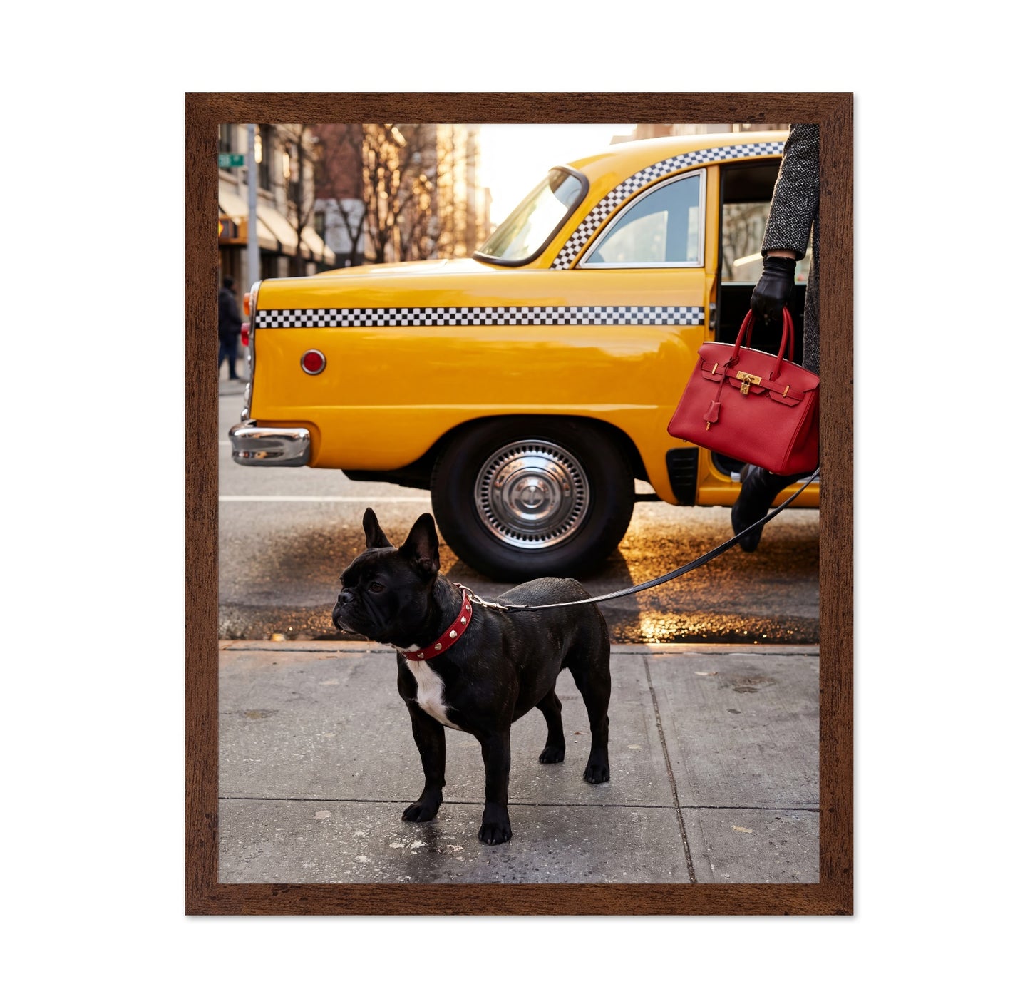 City Taxi Dog
