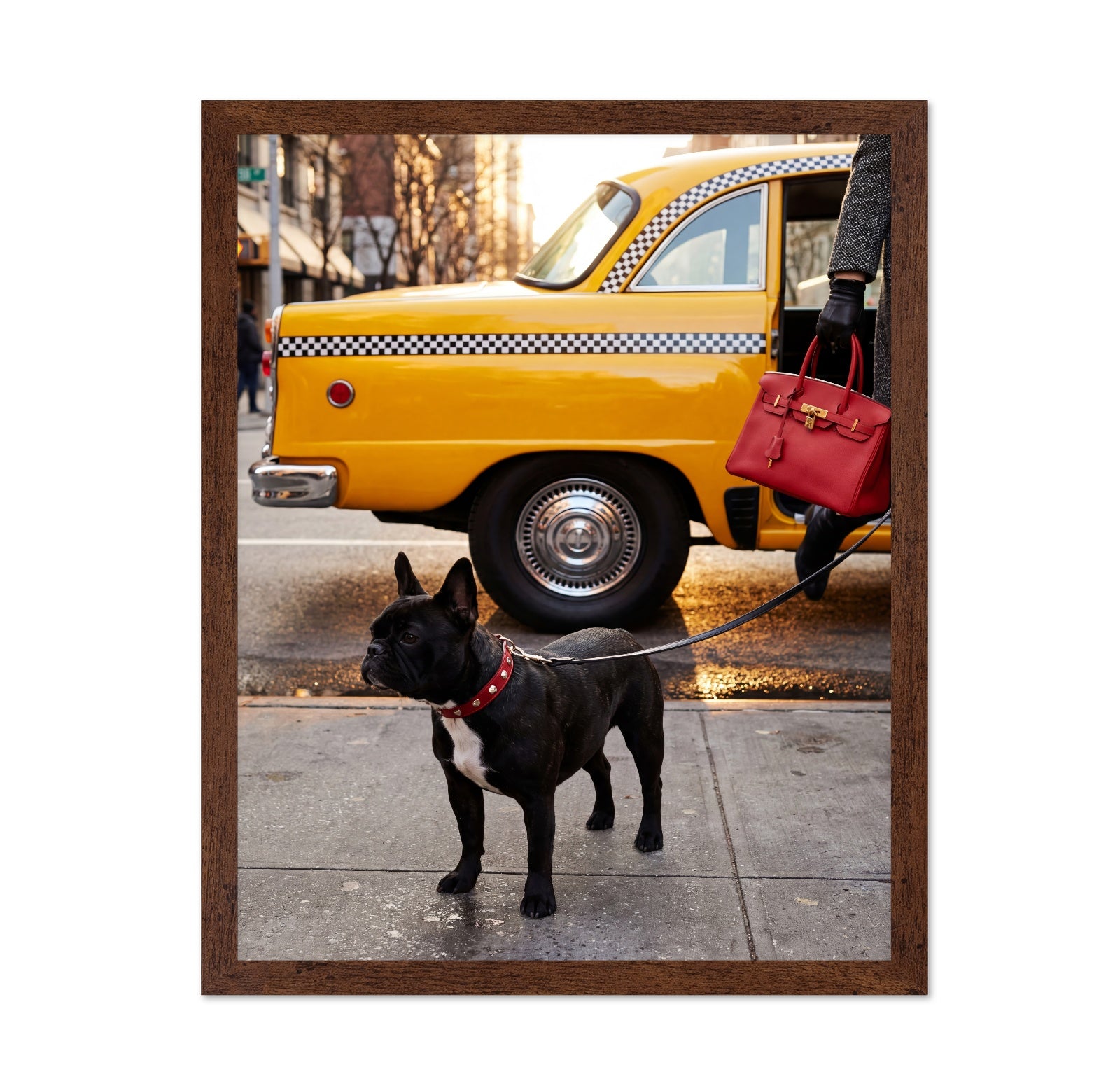 City Taxi Dog