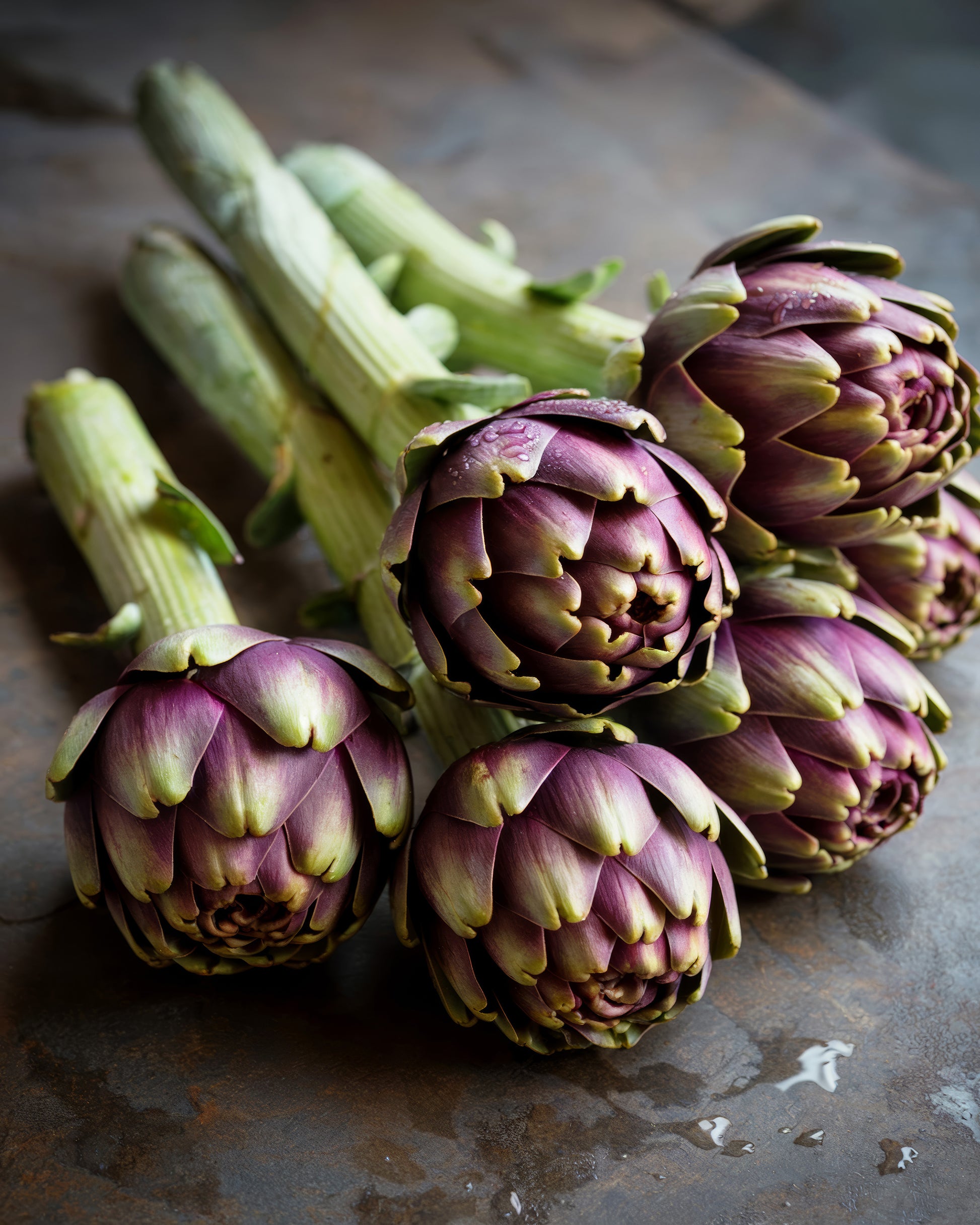 Fresh Artichokes No1