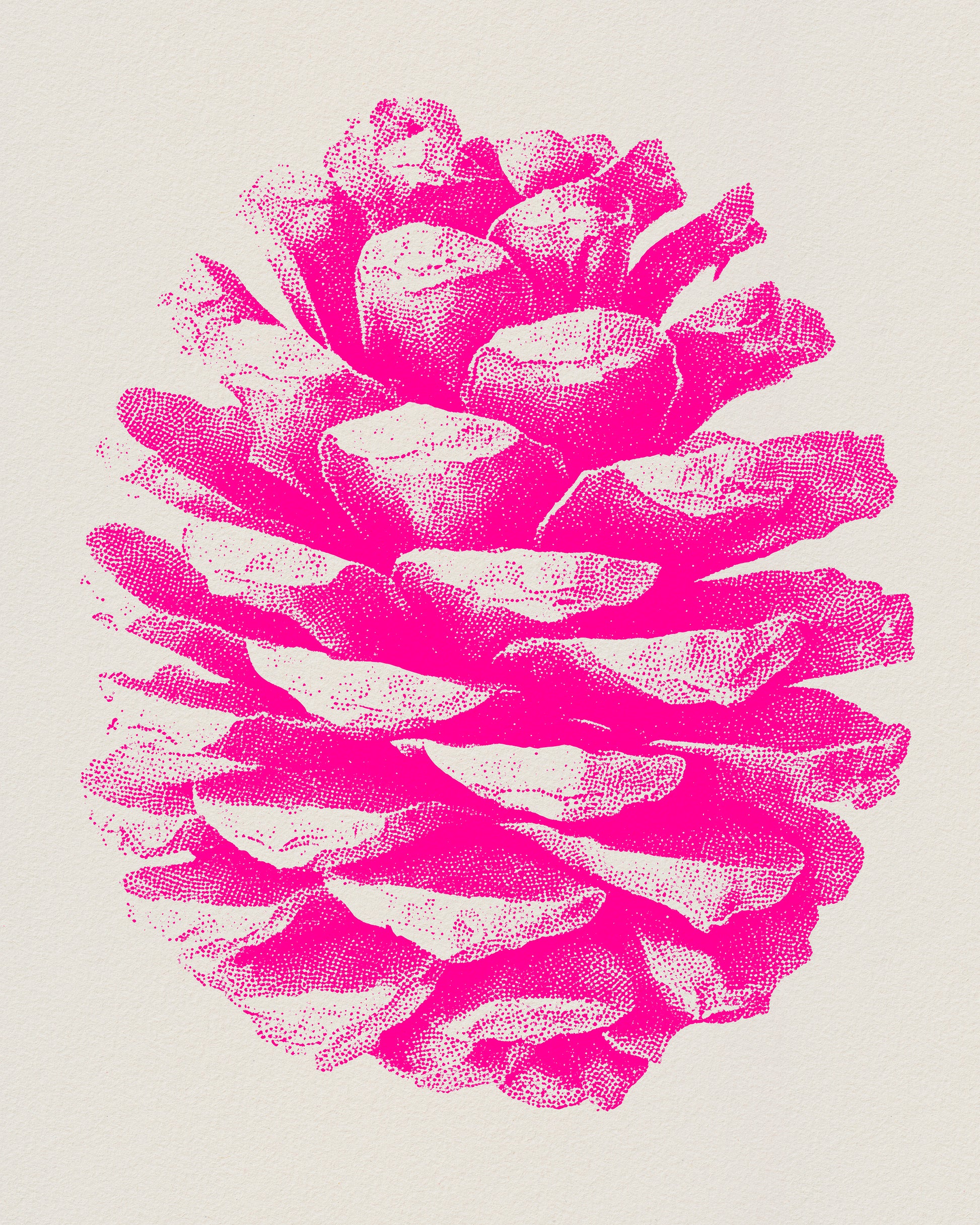 Pink Pinecone