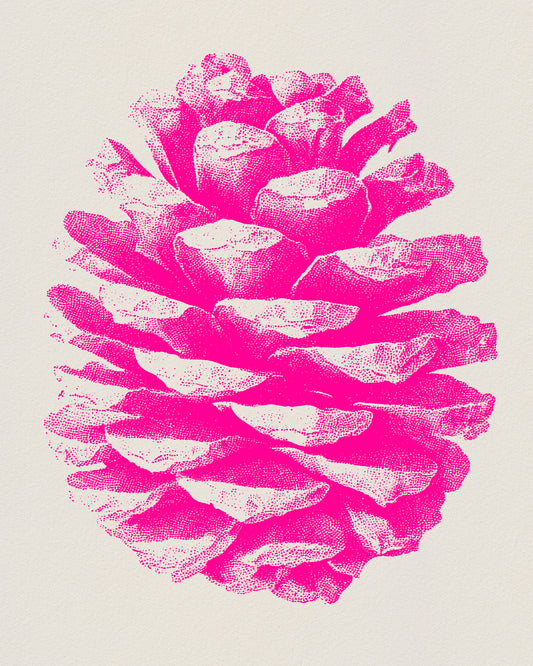 Pink Pinecone