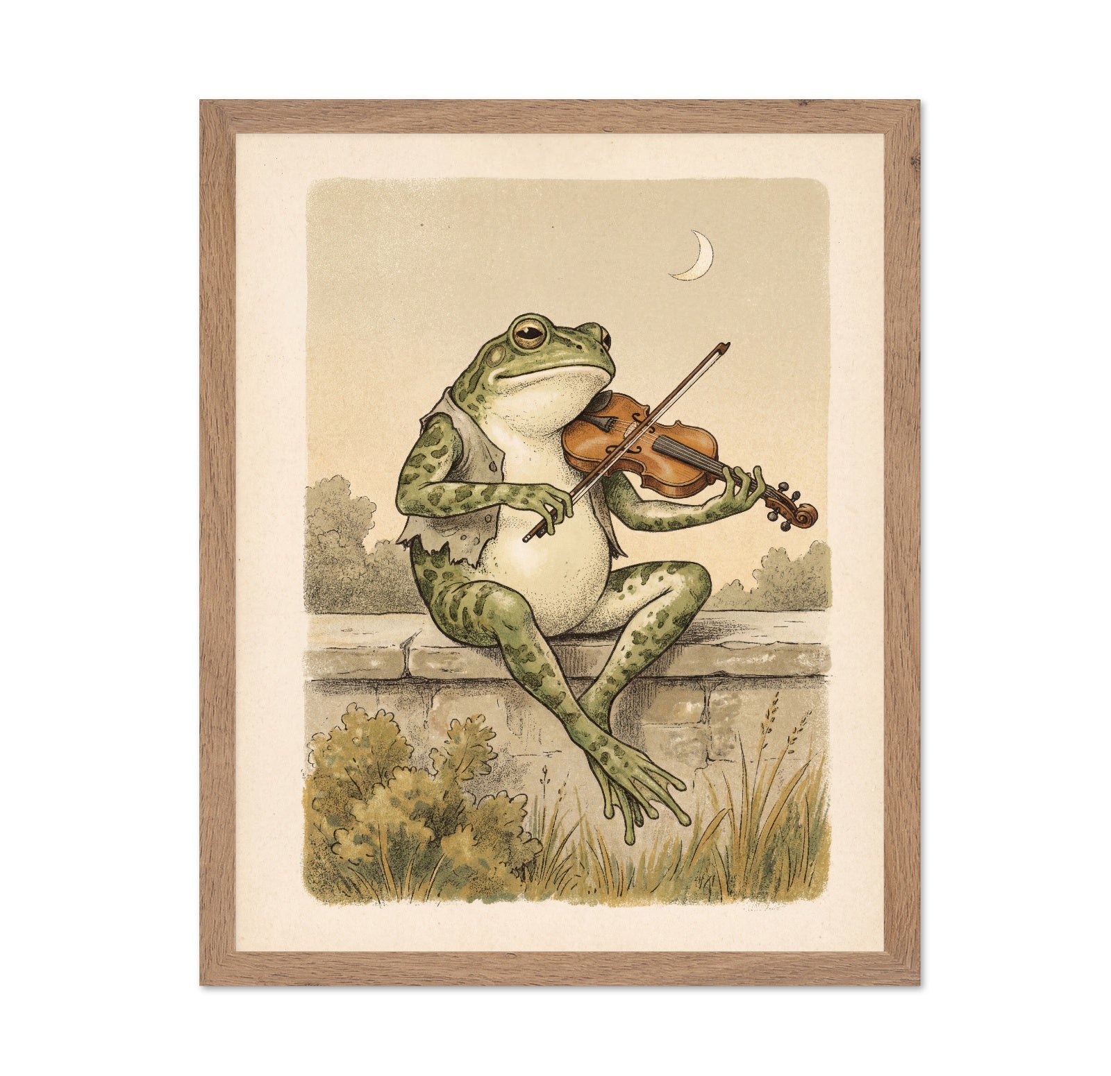 Frog Violinist