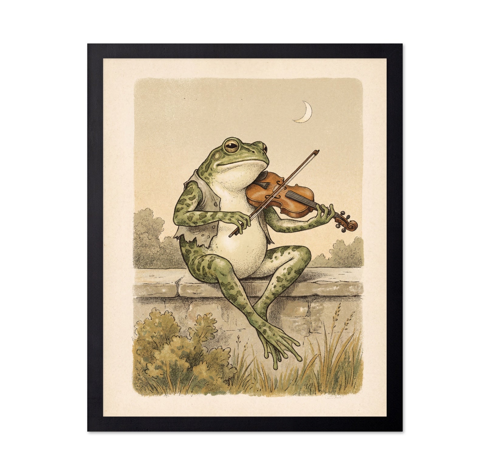 Frog Violinist