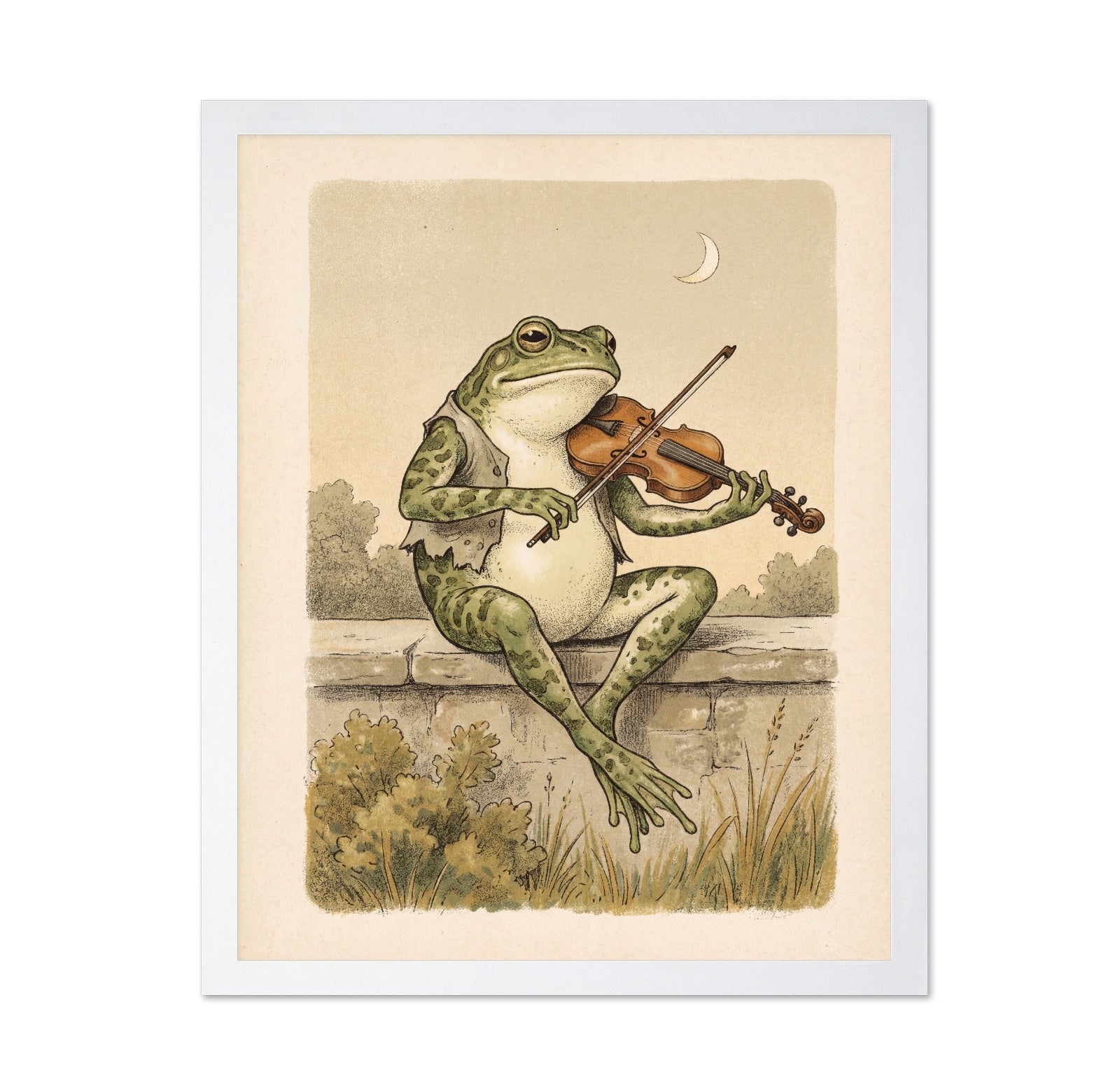 Frog Violinist