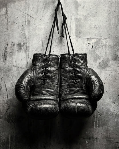 Vintage Boxing Gloves