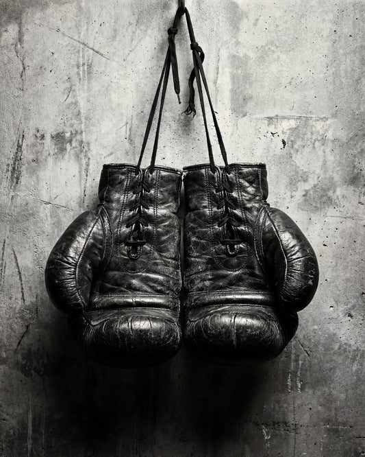 Vintage Boxing Gloves