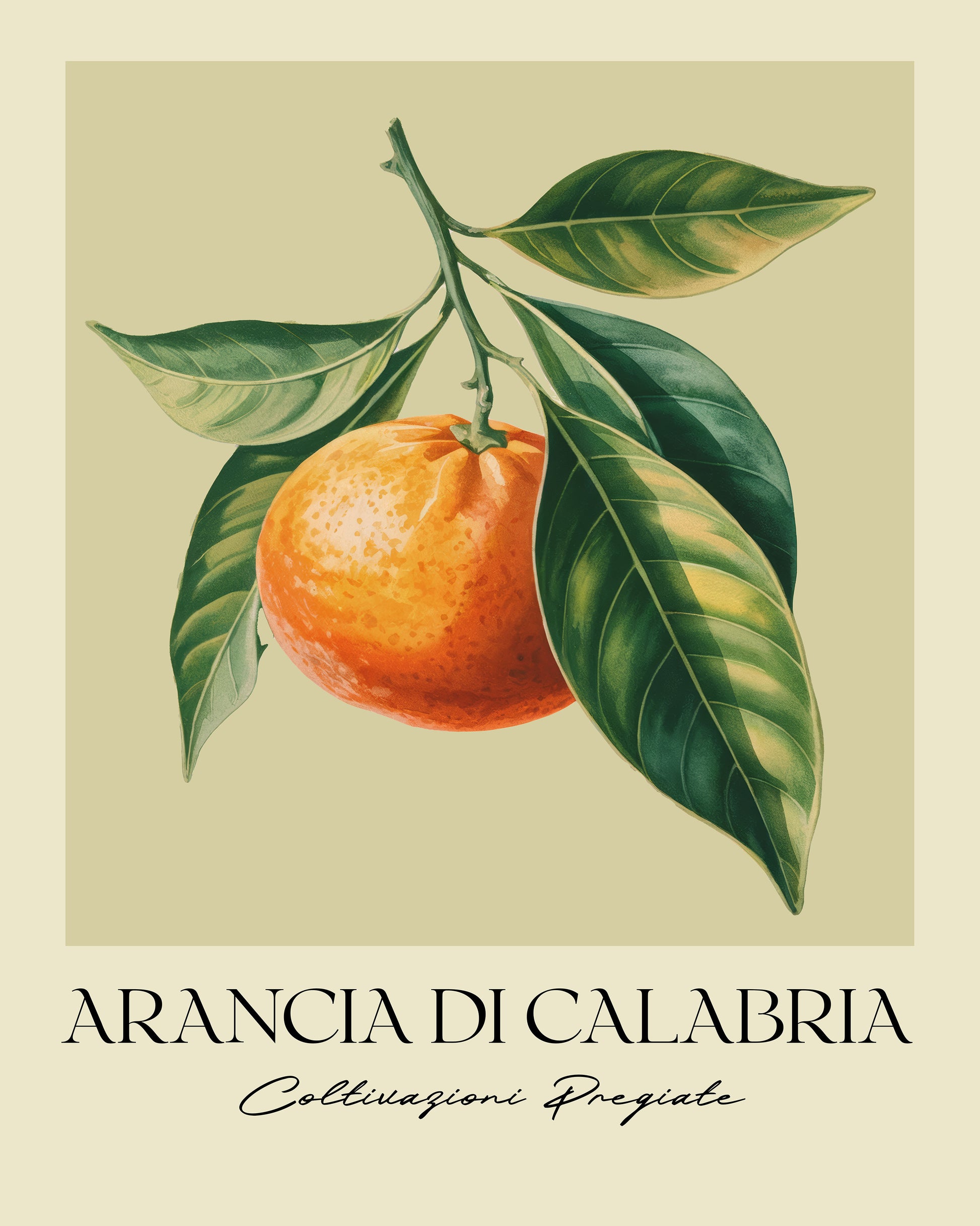 Calabria Orange