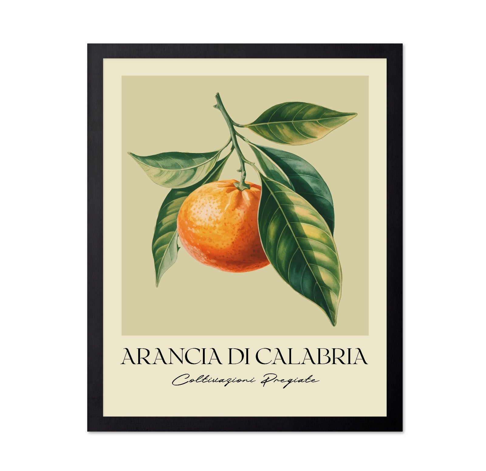 Calabria Orange