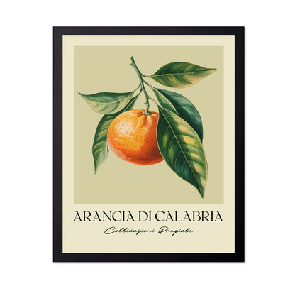 Calabria Orange