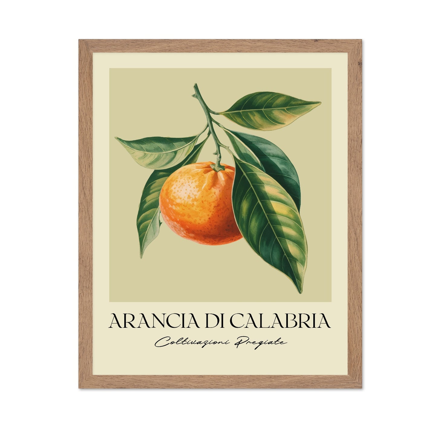 Calabria Orange