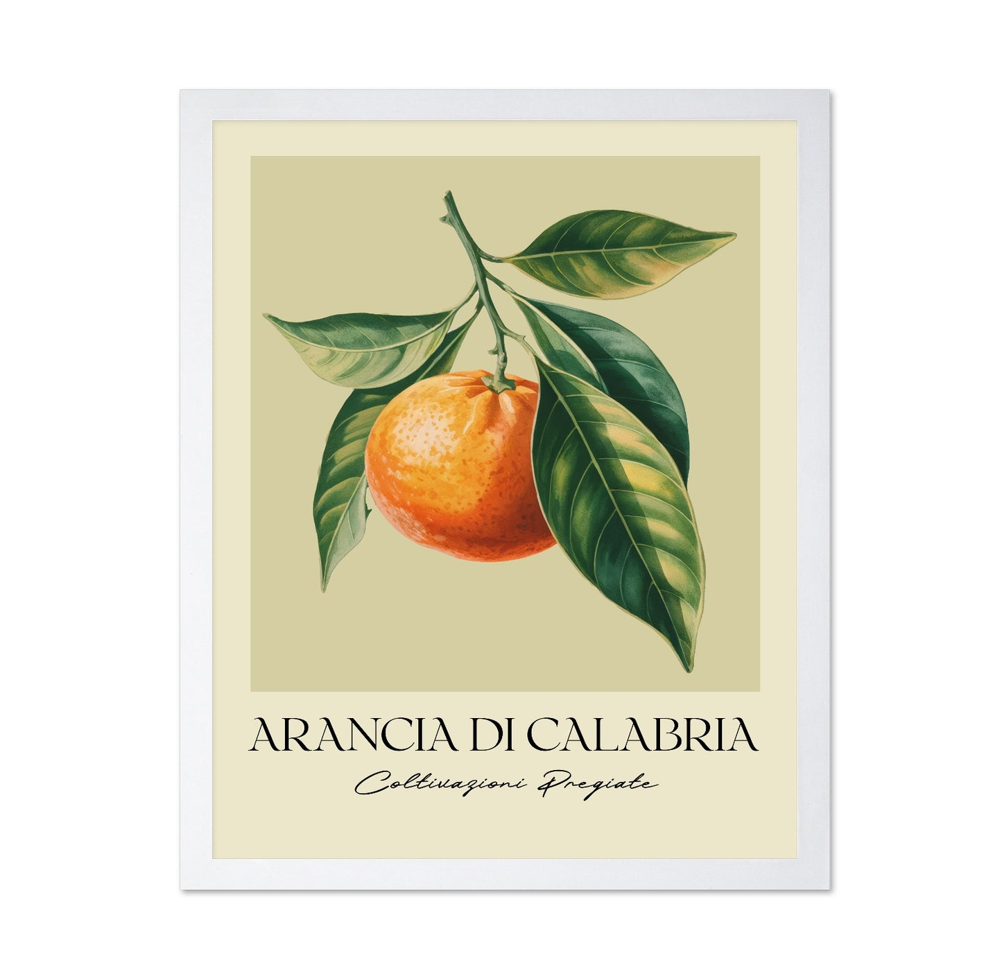 Calabria Orange