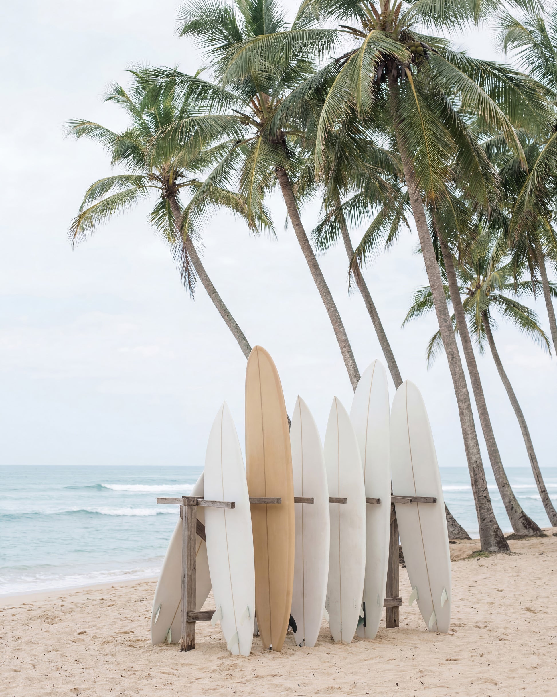 Surfboards By Palms