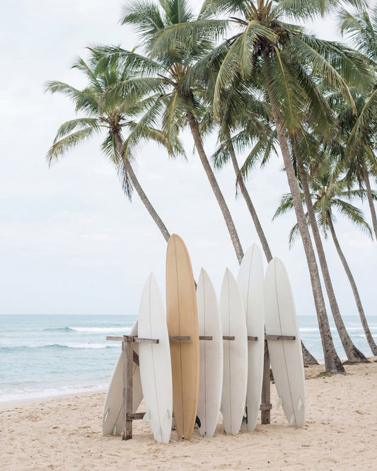 Surfboards By Palms