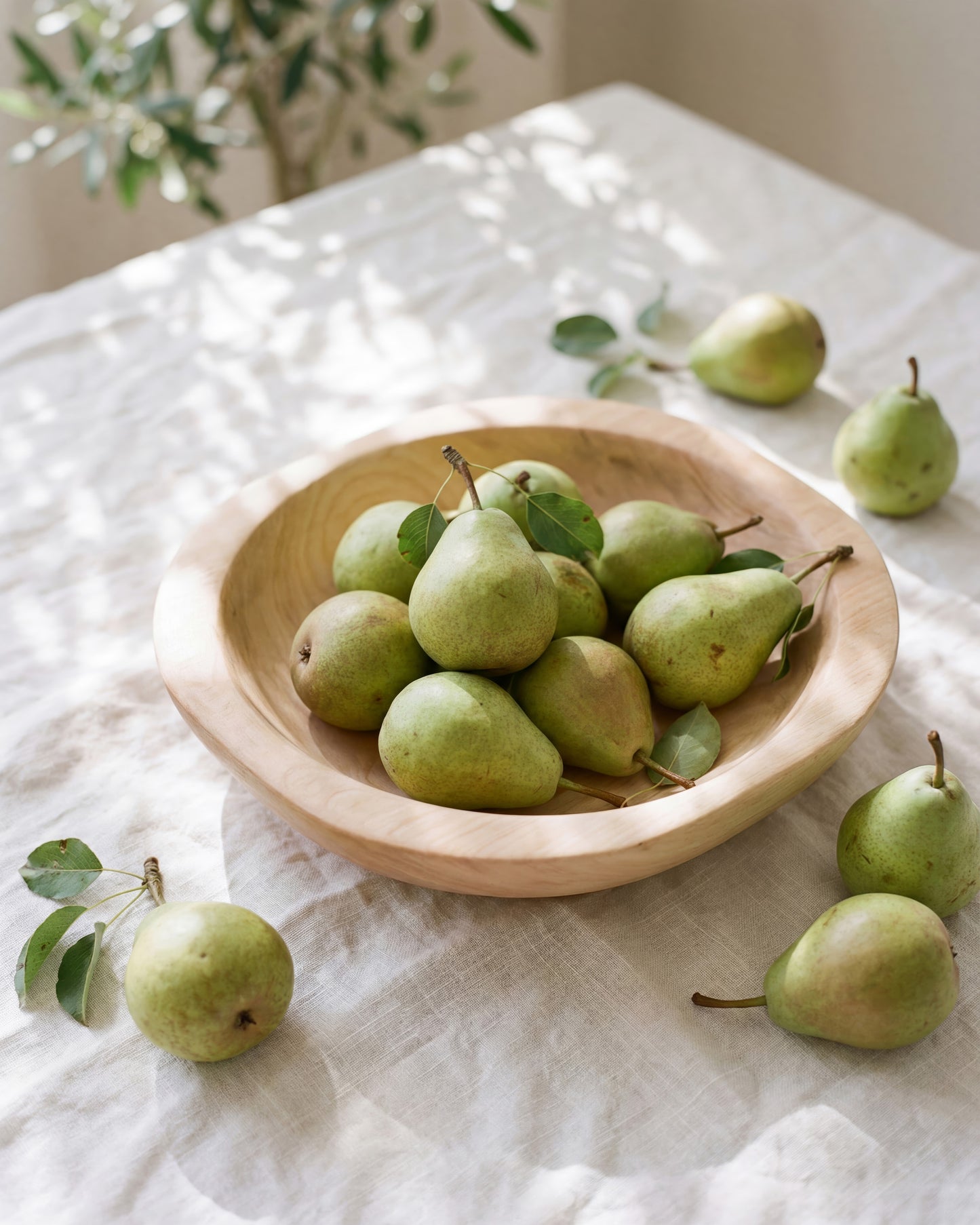 Fresh Pear Still Life