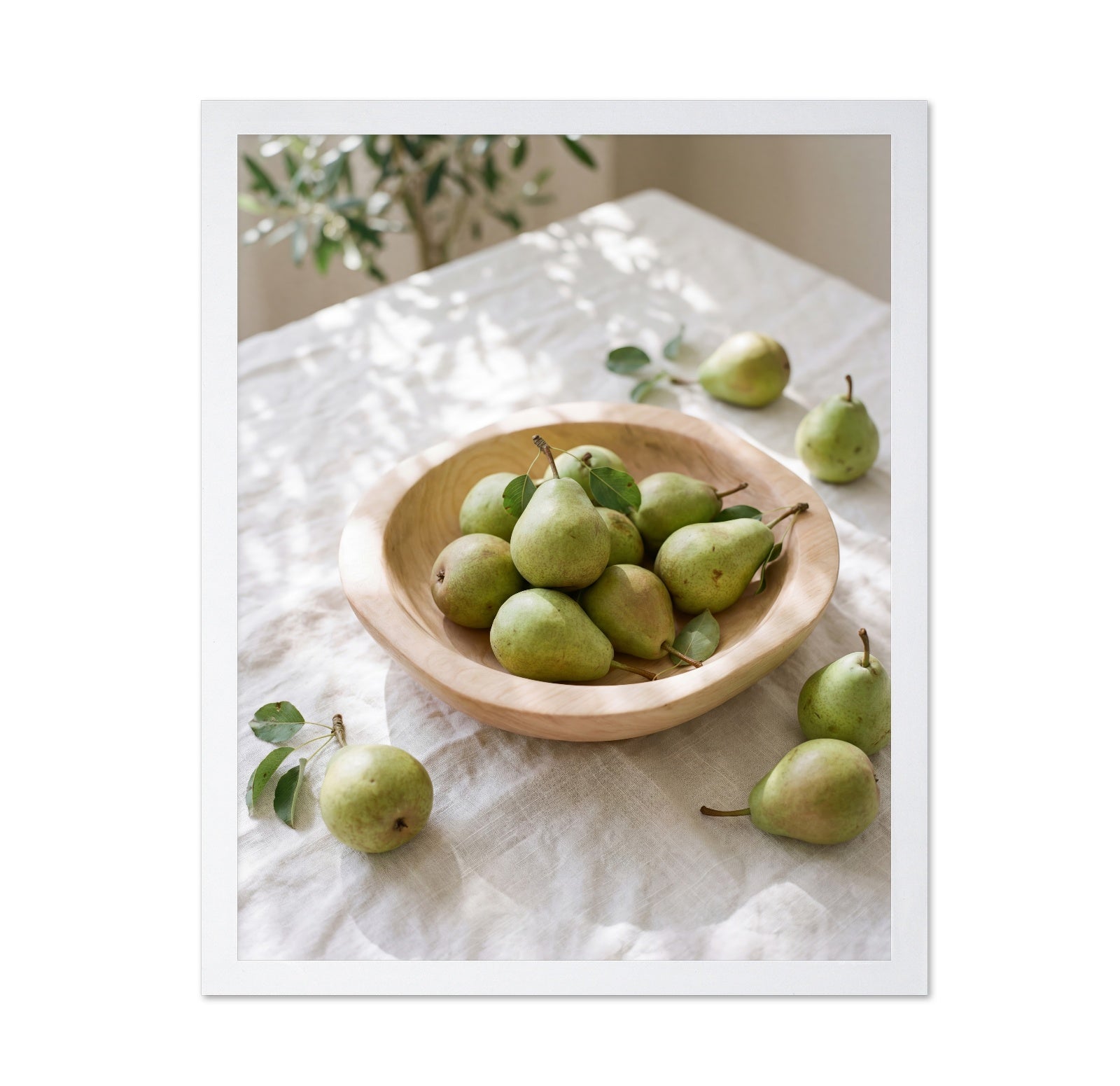 Fresh Pear Still Life