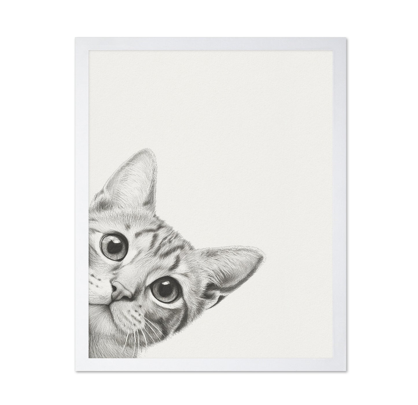 Curious Kitten