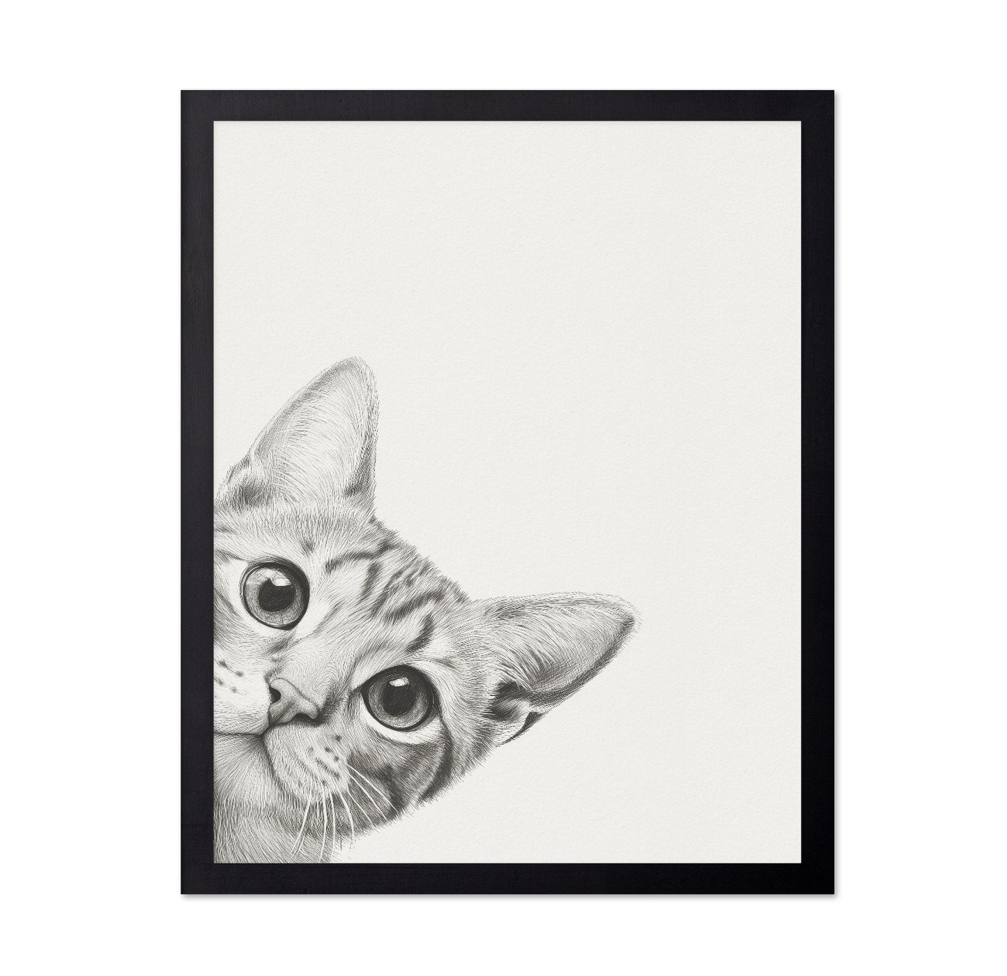 Curious Kitten