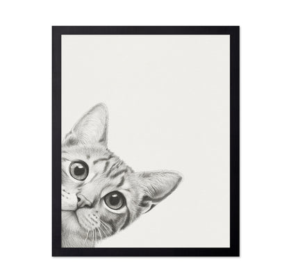 Curious Kitten
