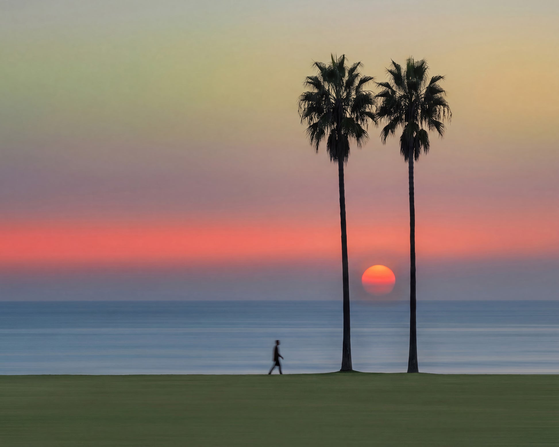 Sunset Palm Walk