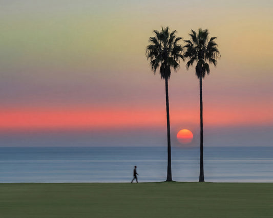 Sunset Palm Walk