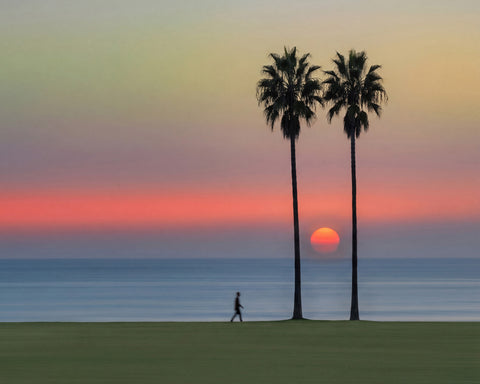 Sunset Palm Walk