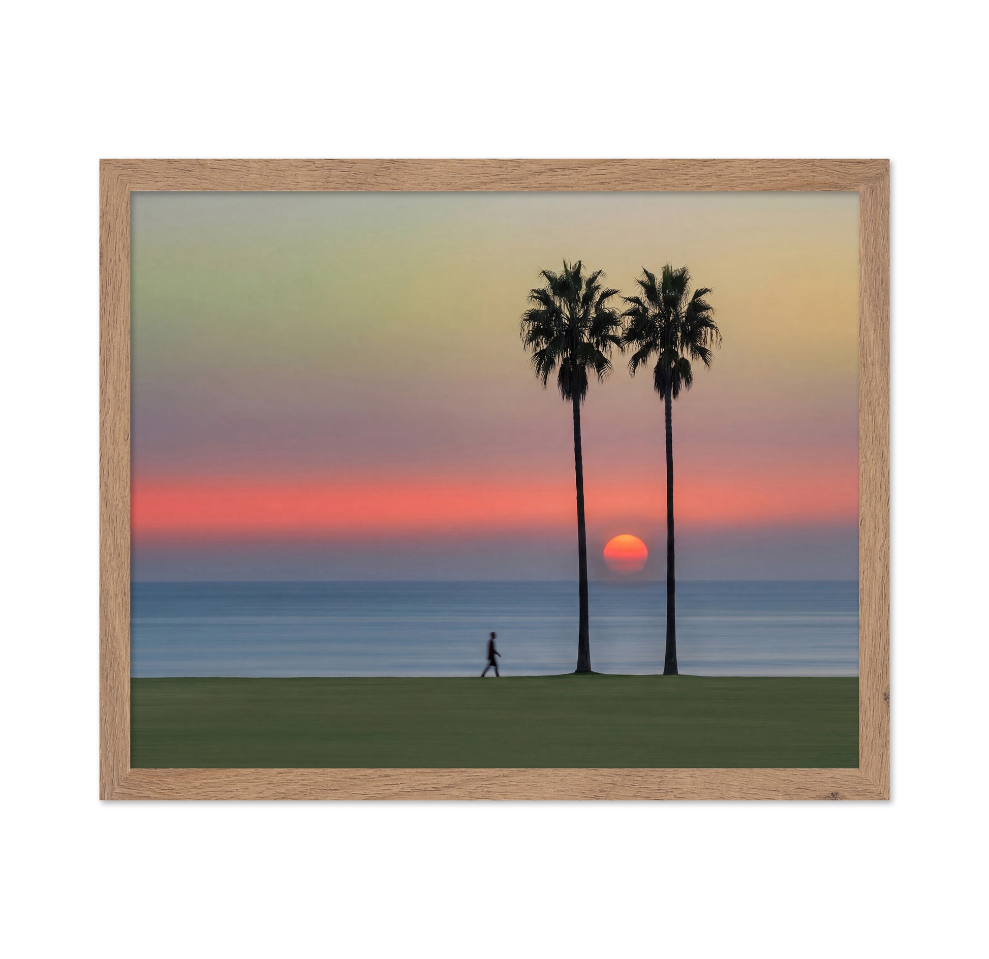 Sunset Palm Walk