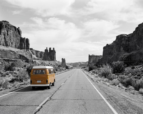 Desert Road Trip