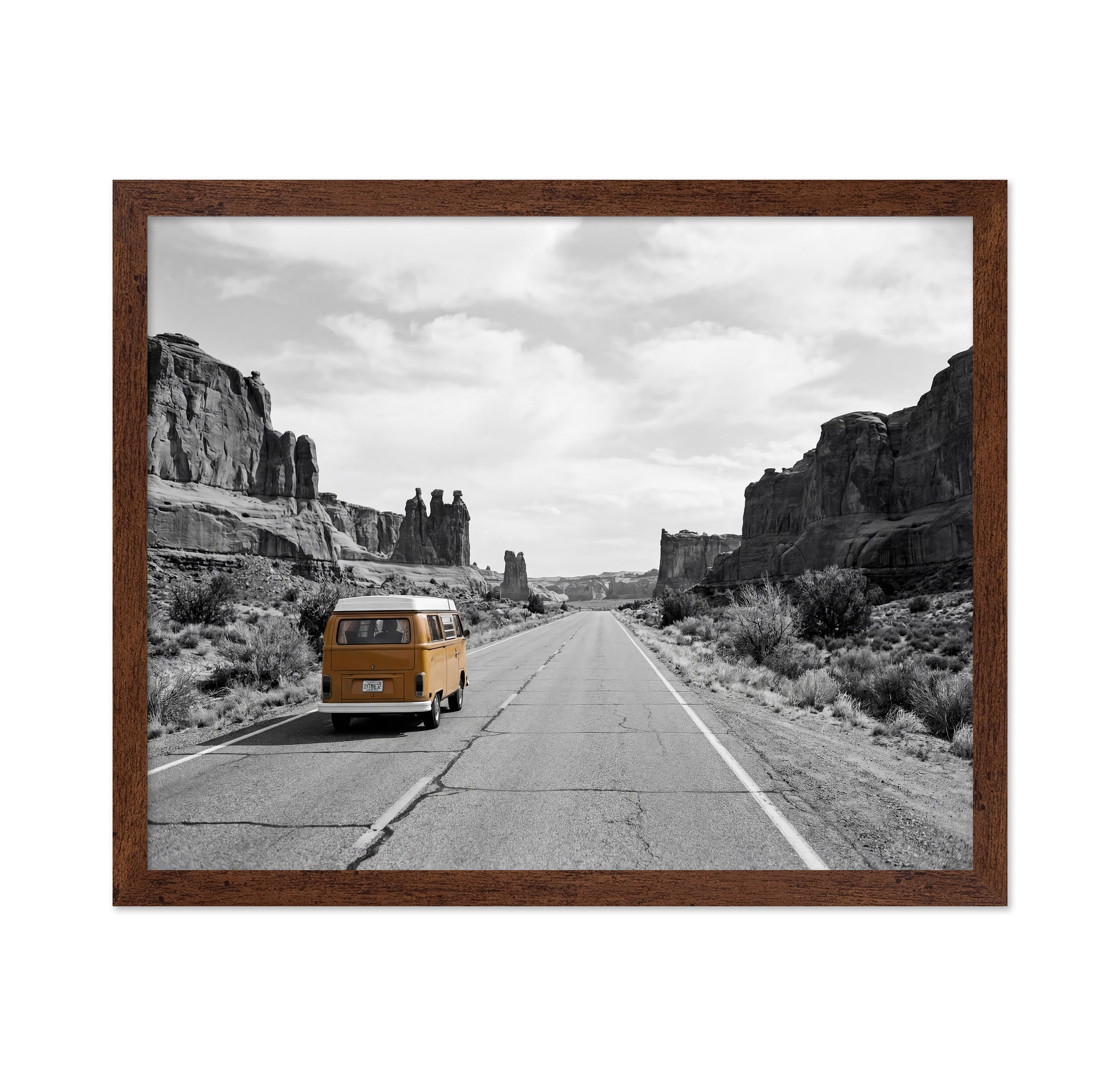 Desert Road Trip