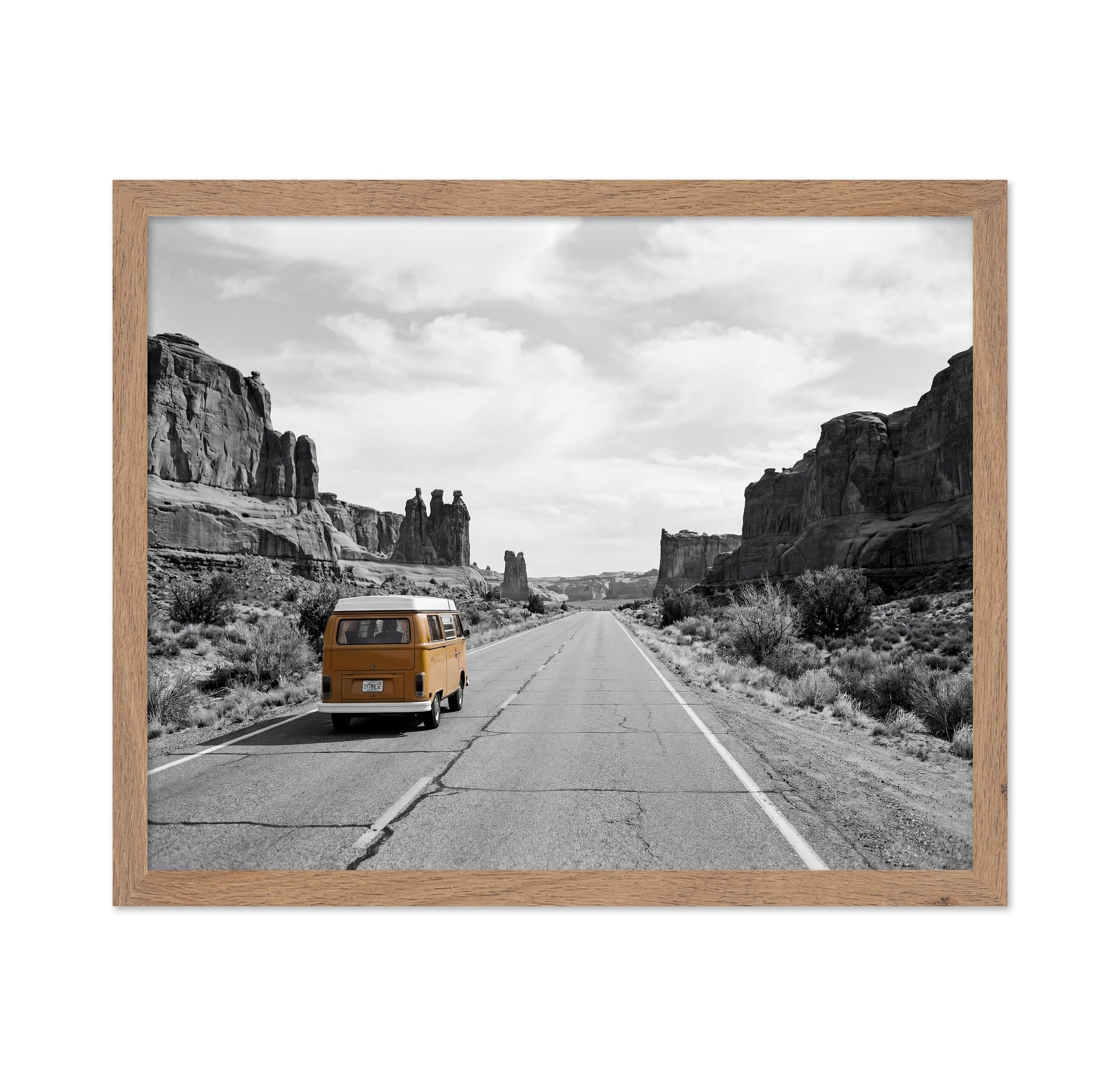 Desert Road Trip