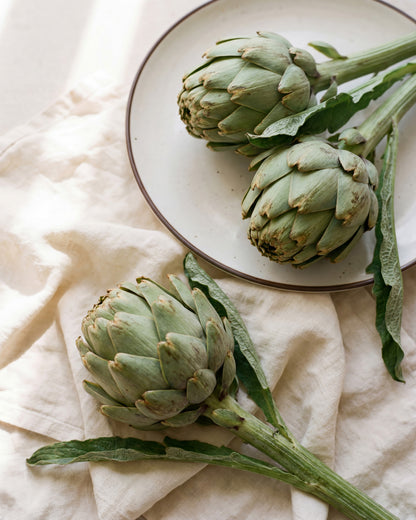 Fresh Artichokes No2