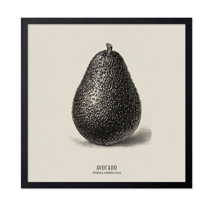 Vintage Avocado Study