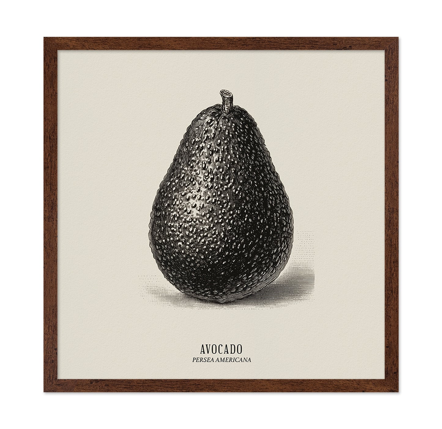 Vintage Avocado Study